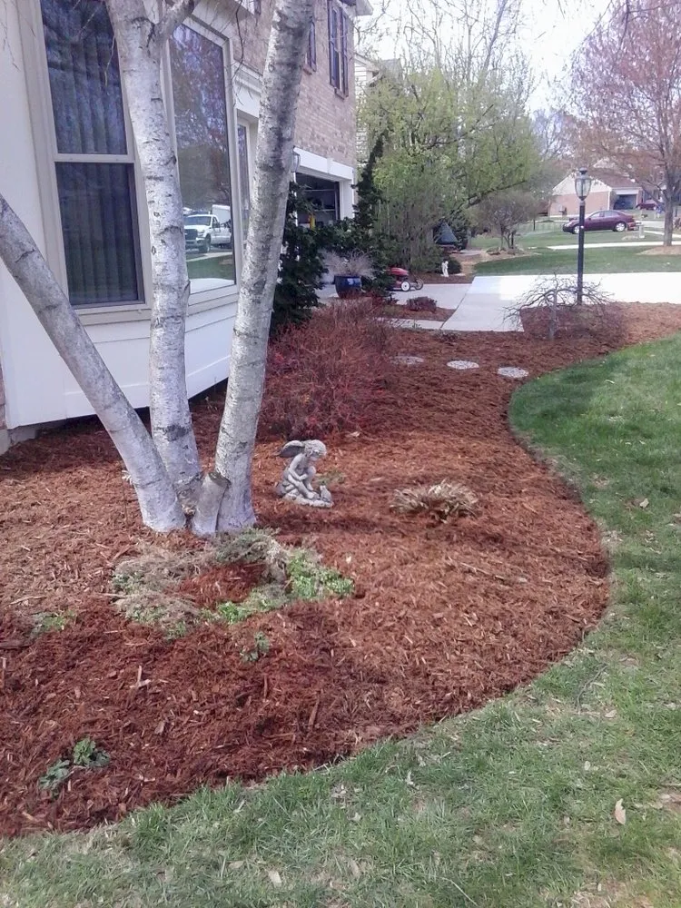 Affordable landscape design experts serving Eustis, FL - Yard Bees