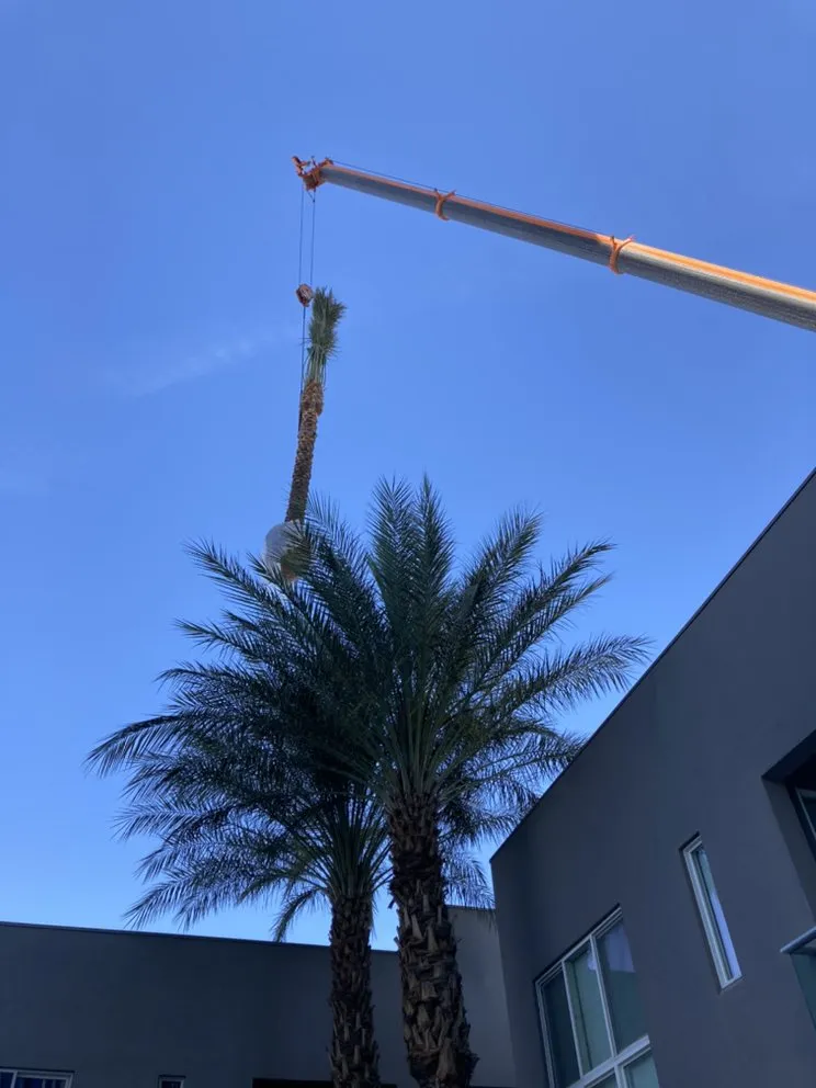 Affordable landscape installation in Las Vegas, NV - Yard Boss