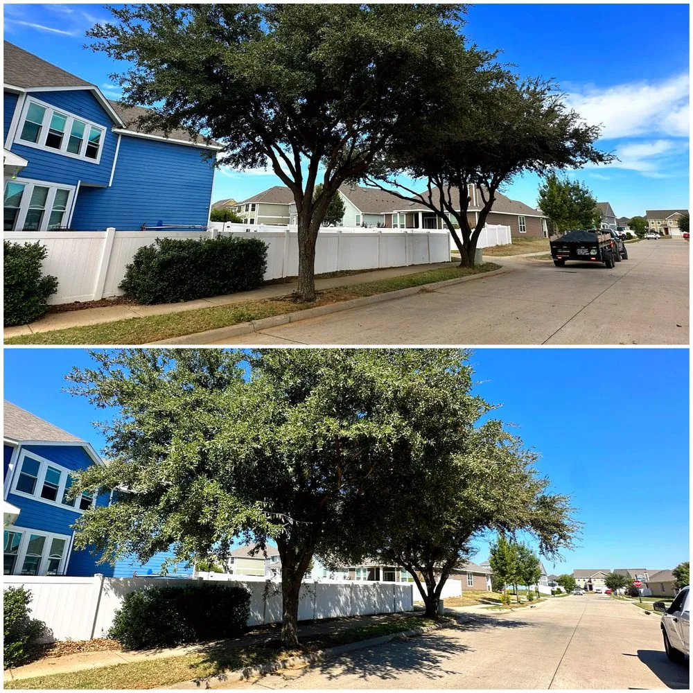 Custom garden landscaping near you across Little Elm, TX - Yard Boss Lawn & Landscape