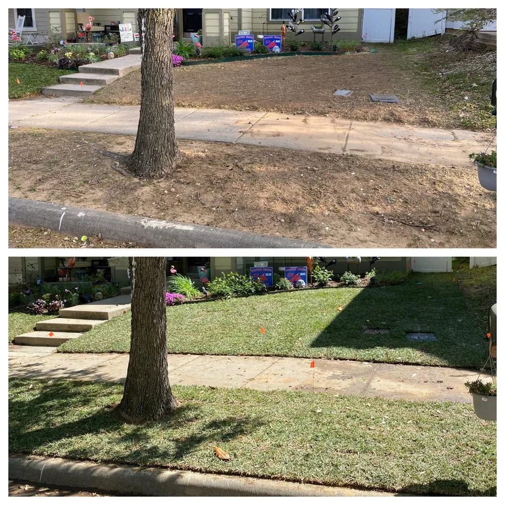 Top-rated garden landscaping experts serving Little Elm, TX - Yard Boss Lawn & Landscape