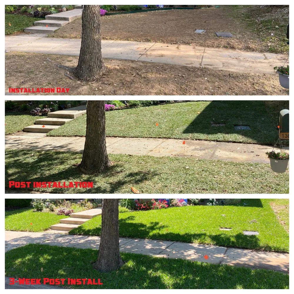 Custom yard maintenance in Little Elm, TX by Yard Boss Lawn & Landscape