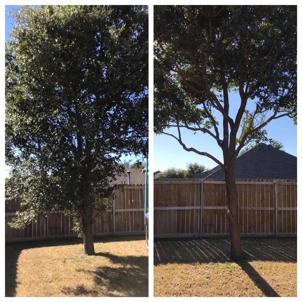 Trusted landscaping services experts serving Little Elm, TX - Yard Boss Lawn & Landscape