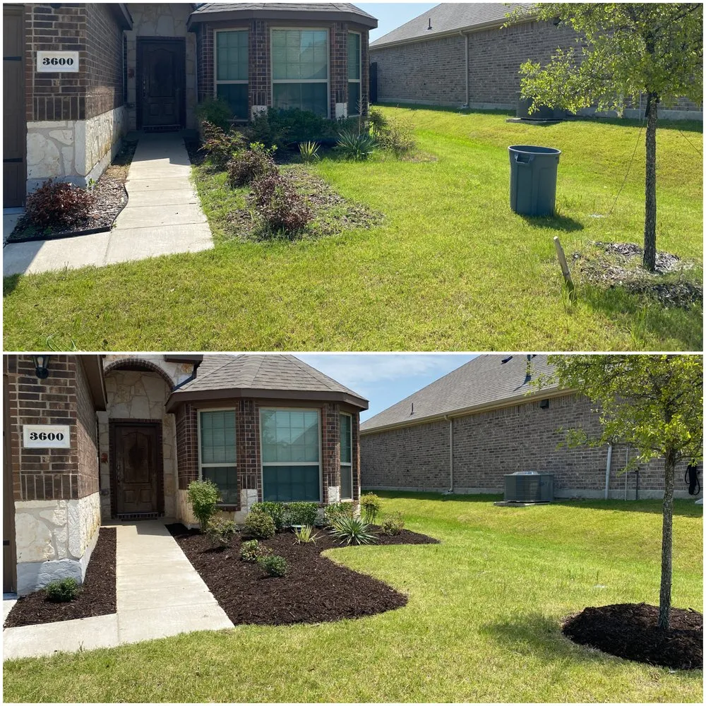 Local landscape installation in Little Elm, TX - Yard Boss Lawn & Landscape