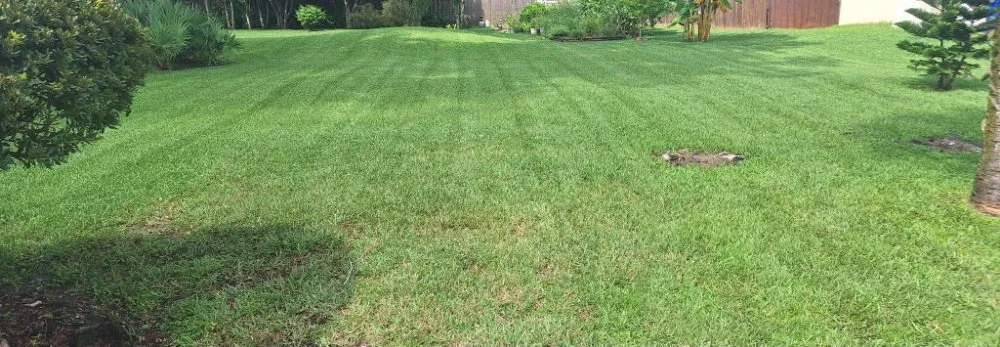 Top-rated lawn care service experts serving Edgewater, FL - Yard Boss Lawn Care