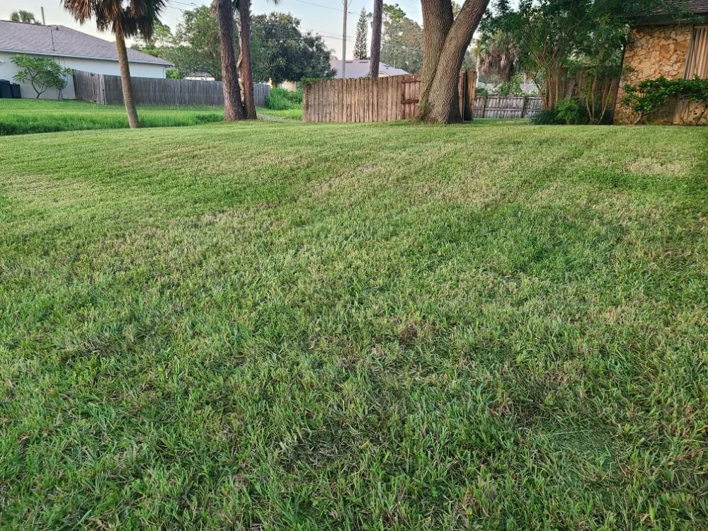 Trusted outdoor landscaping near you in Edgewater, FL by Yard Boss Lawn Care
