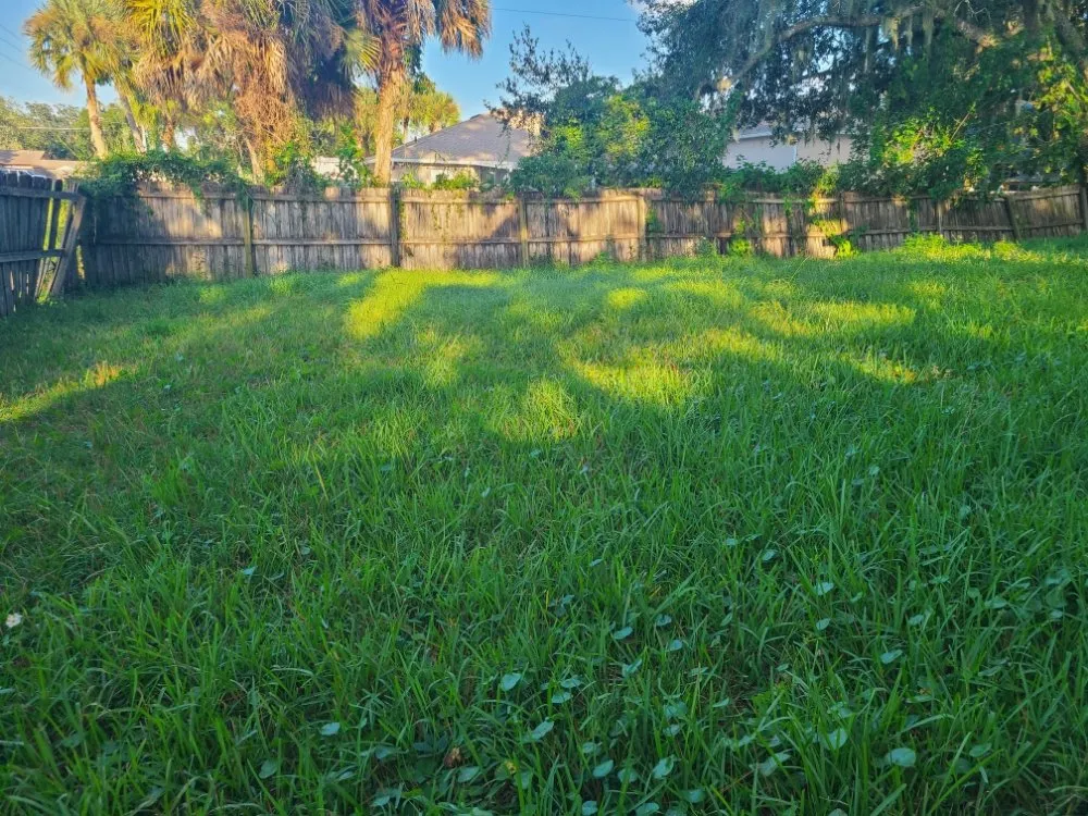 Reliable outdoor landscaping in Edgewater, FL by Yard Boss Lawn Care