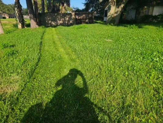 Yard Boss Lawn Care Logo