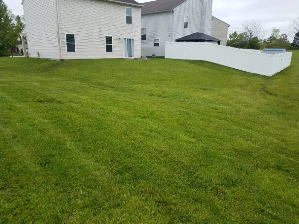 Reliable outdoor landscaping in Indianapolis, IN - Yard Boy