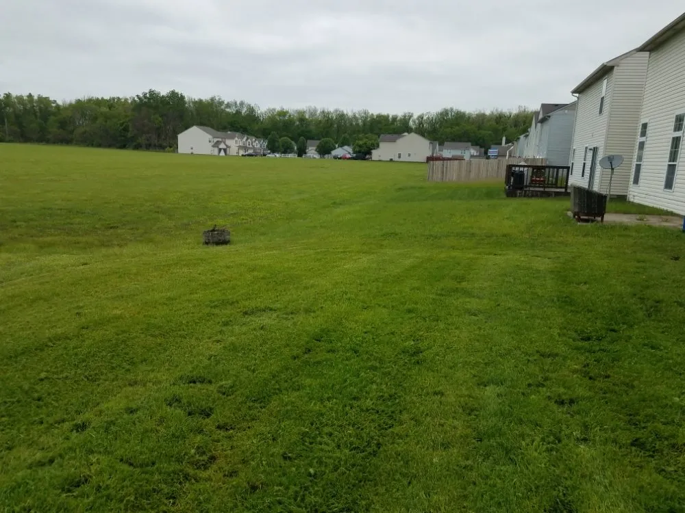 Expert landscape design experts serving Indianapolis, IN - Yard Boy