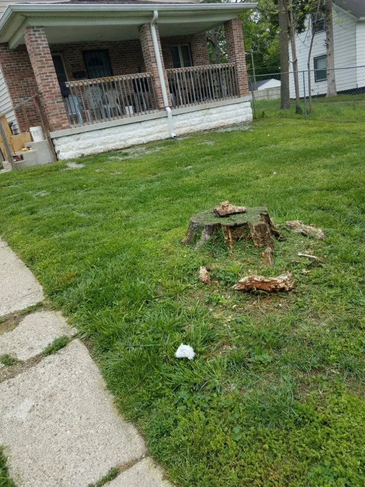 Trusted residential landscaping in Indianapolis, IN - Yard Boy