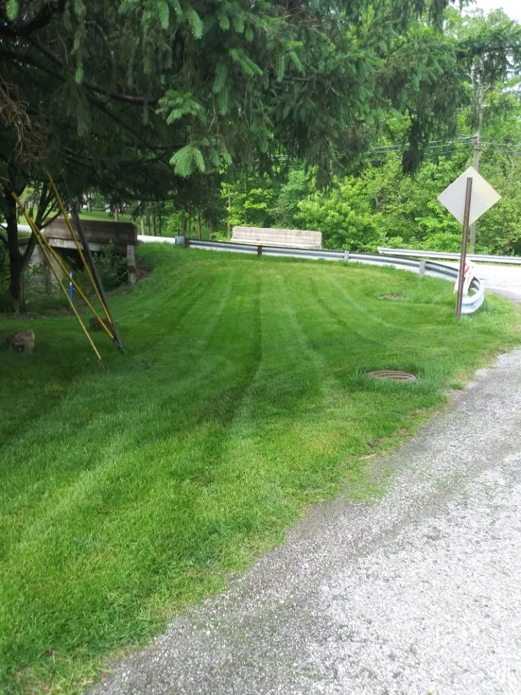 Top-rated garden landscaping in Indianapolis, IN - Yard Boy