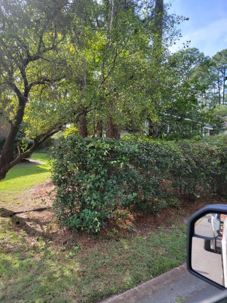 Local yard maintenance experts serving Saint Andrews, SC - Yard Boys Detail Services