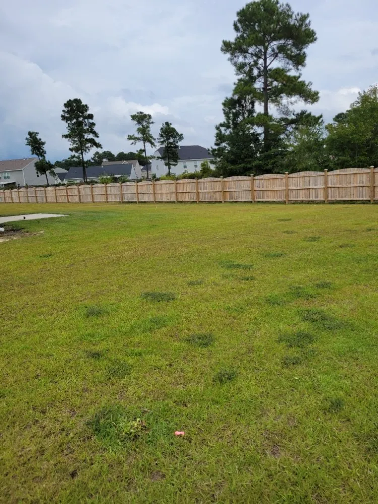 Reliable outdoor landscaping near you across Saint Andrews, SC - Yard Boys Detail Services