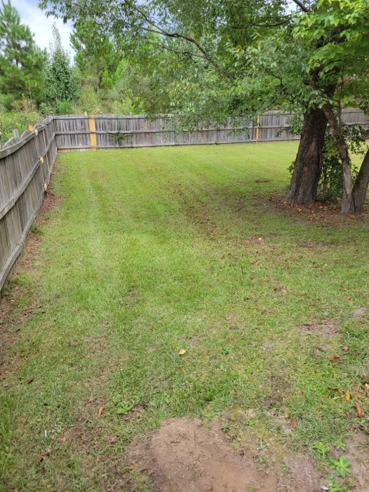 Affordable landscape design experts serving Saint Andrews, SC - Yard Boys Detail Services