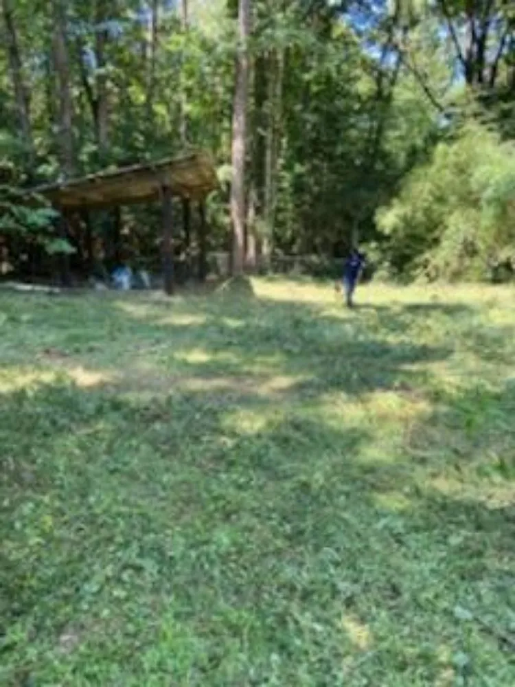 Expert yard cleanup service in Saint Andrews, SC - Yard Boys Detail Services