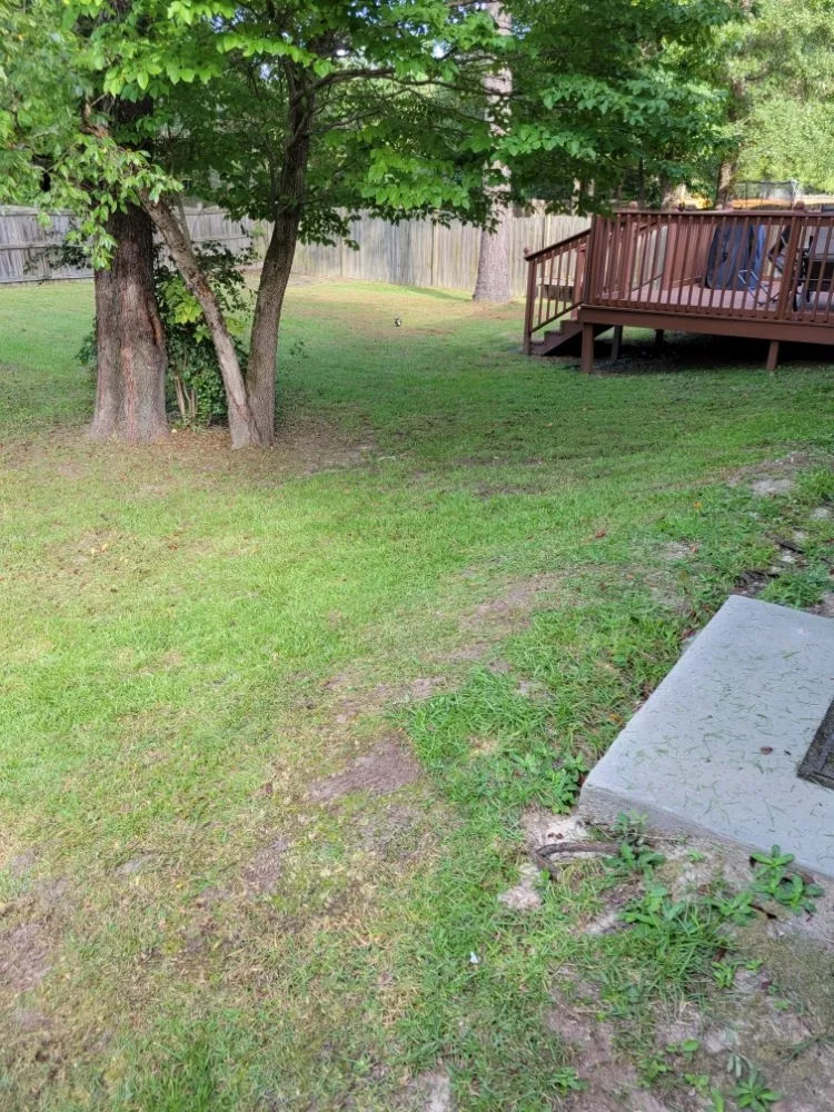 Trusted lawn care service with custom design in Saint Andrews, SC by Yard Boys Detail Services