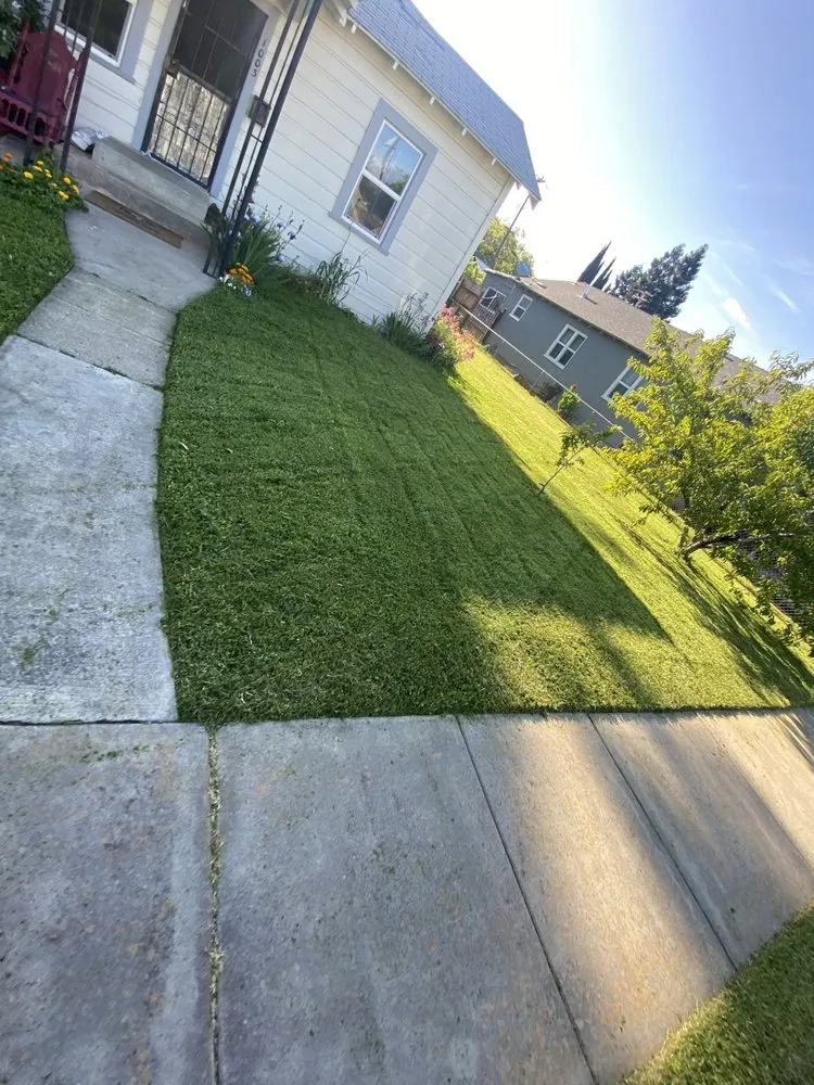 Affordable outdoor landscaping experts serving Gridley, CA - Yard Boys