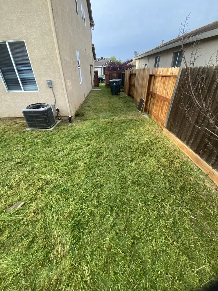 Local lawn care service in Gridley, CA by Yard Boys