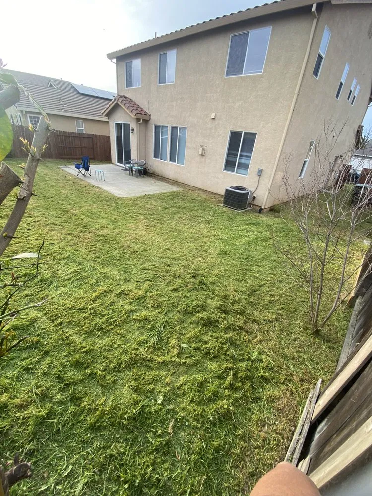 Top-rated garden landscaping near you across Gridley, CA - Yard Boys