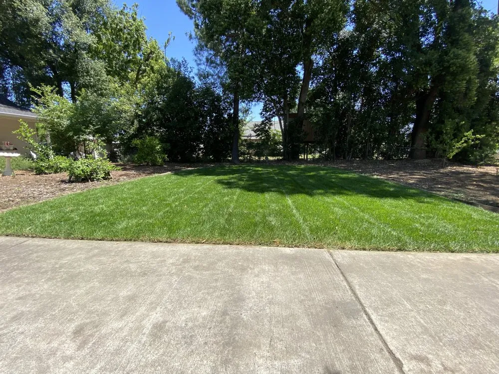 Reliable residential landscaping experts serving Gridley, CA - Yard Boys