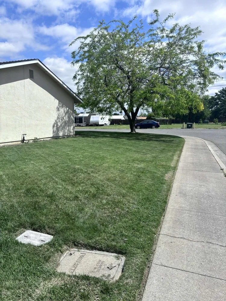 Professional landscape design in Gridley, CA by Yard Boys