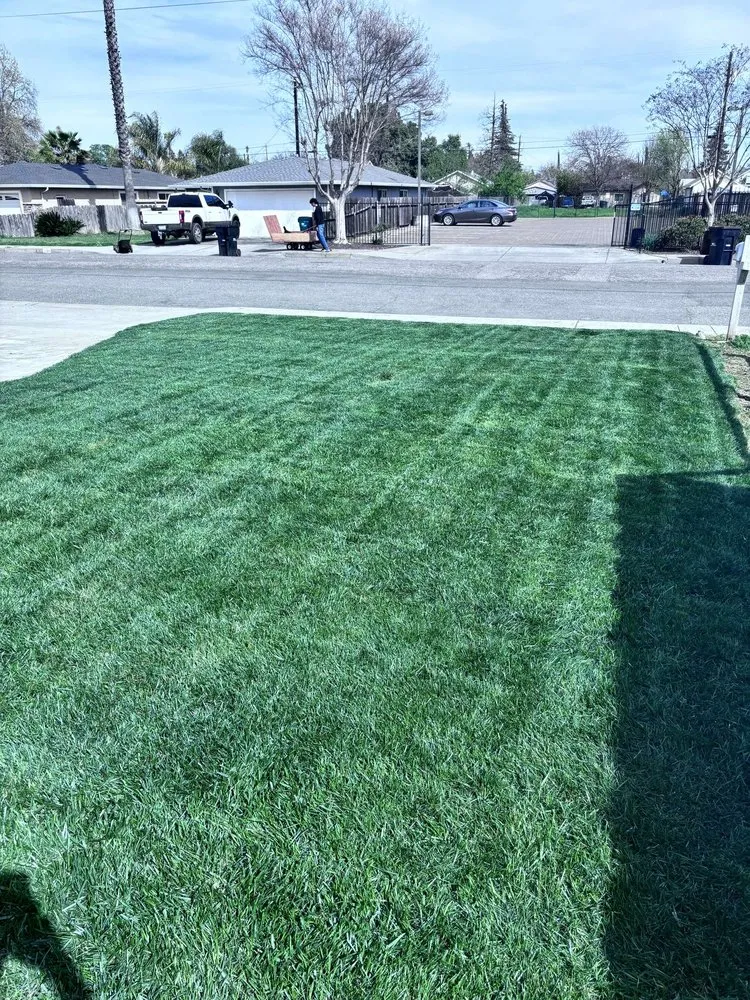 Affordable lawn mowing service for beautiful yards in Gridley, CA by Yard Boys