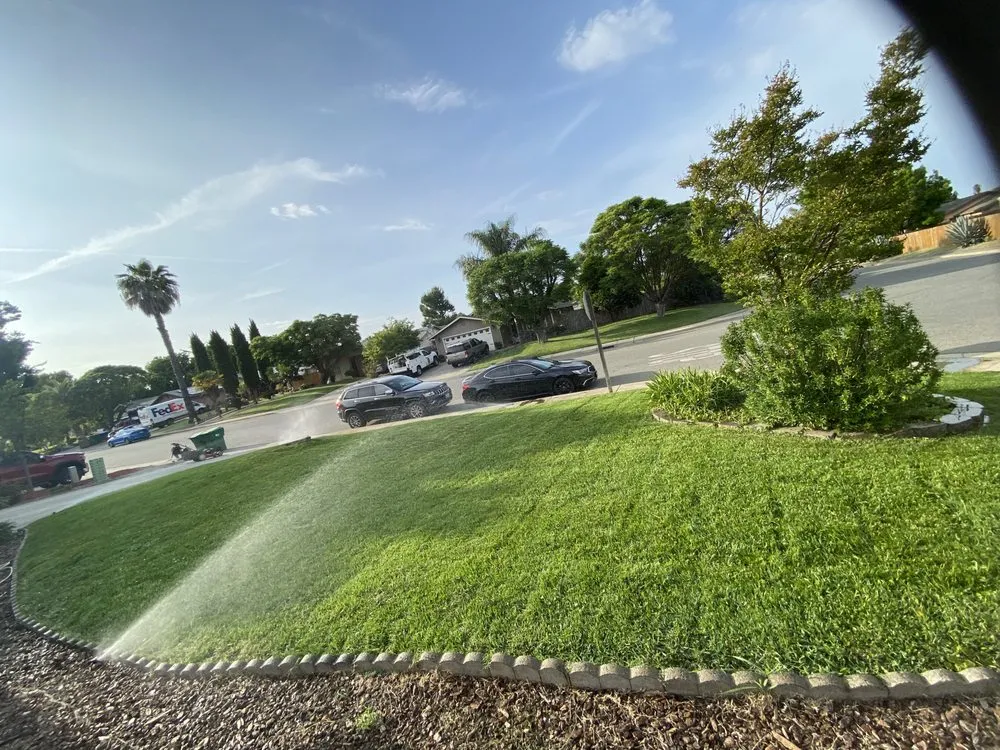 Trusted landscaping services for year-round maintenance across Gridley, CA - Yard Boys