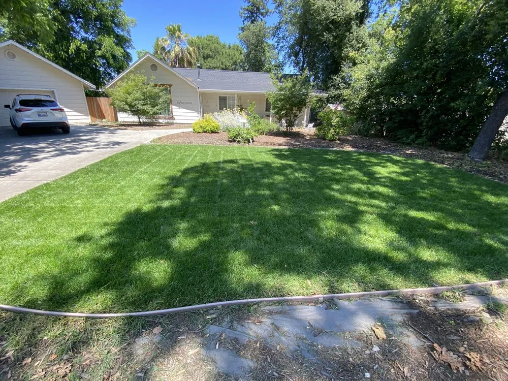 Professional landscape installation experts serving Gridley, CA - Yard Boys