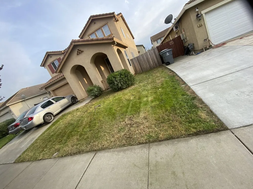 Professional landscaping services near you in Gridley, CA by Yard Boys