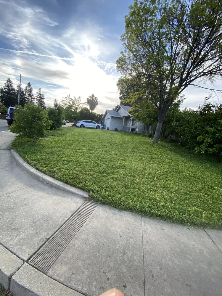 Trusted yard maintenance in Gridley, CA - Yard Boys