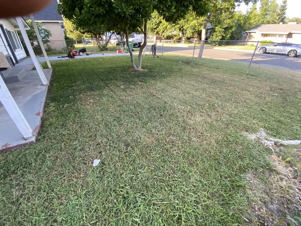 Affordable yard cleanup service for homes in Gridley, CA by Yard Boys