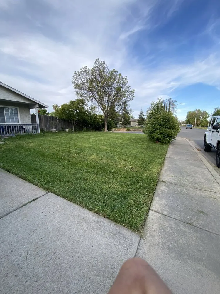 Expert lawn mowing service near you in Gridley, CA by Yard Boys