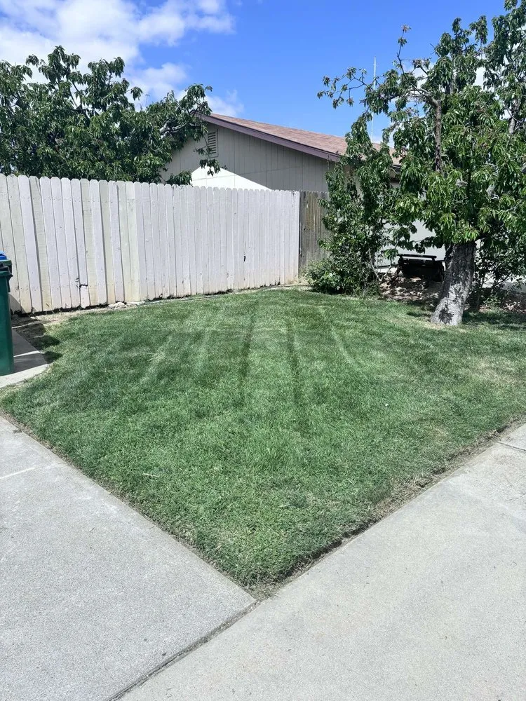 Top-rated landscape installation in Gridley, CA by Yard Boys