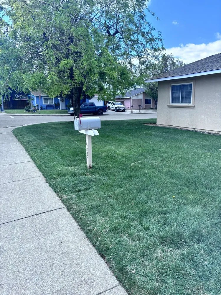 Trusted lawn mowing service in Gridley, CA - Yard Boys