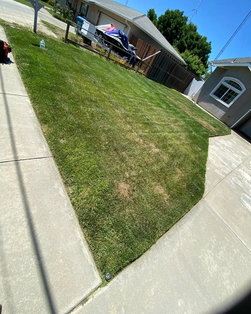 Trusted yard maintenance for year-round maintenance across Gridley, CA - Yard Boys