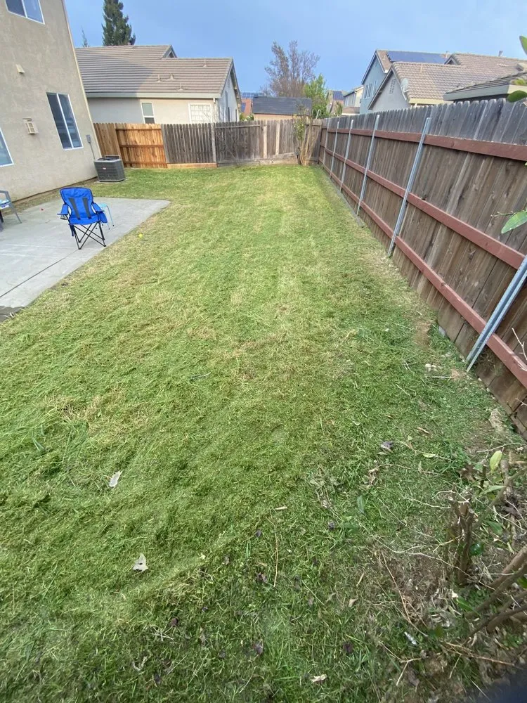 Professional yard maintenance experts serving Gridley, CA - Yard Boys