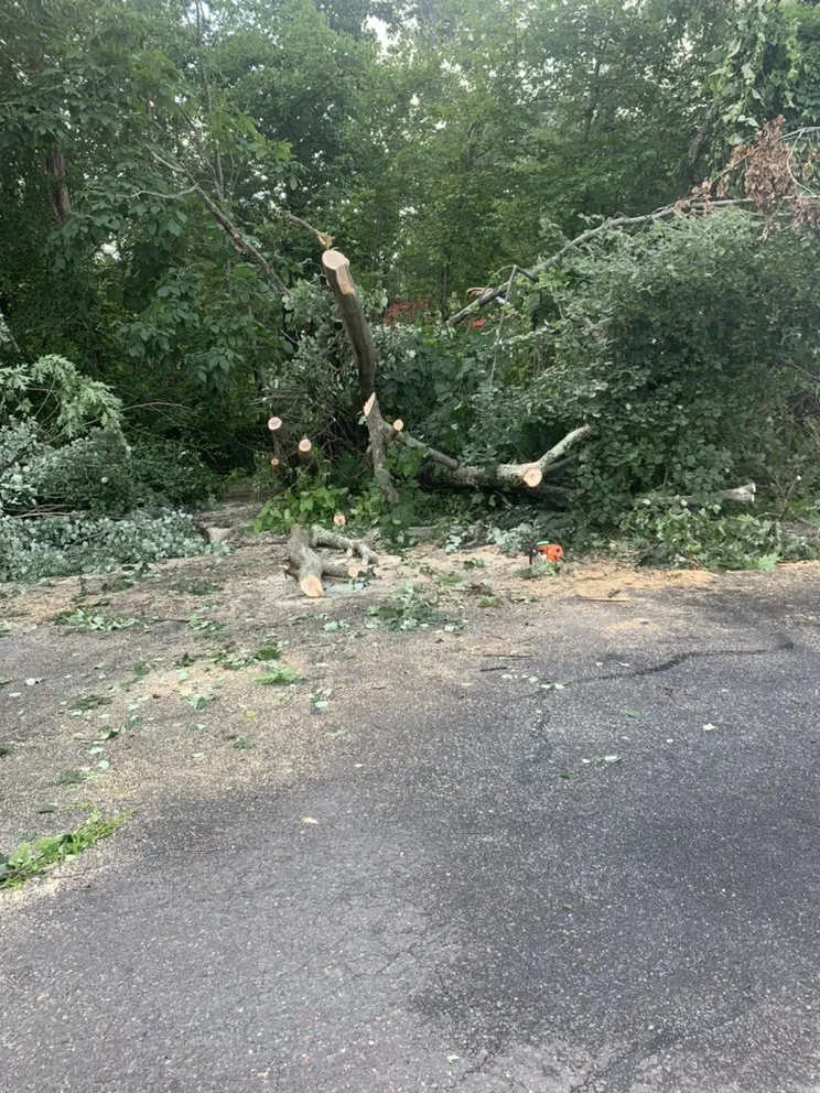 Expert yard maintenance with custom design in Waterbury, CT by Yard Boys Seasonal Service