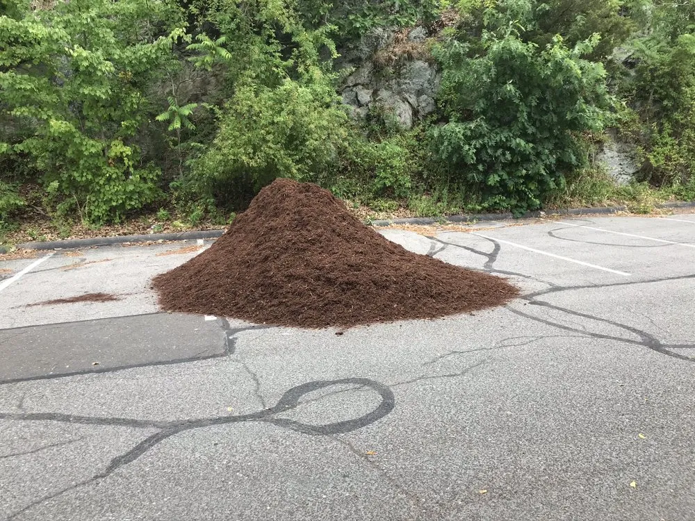 Affordable garden landscaping for beautiful yards across Waterbury, CT - Yard Boys Seasonal Service