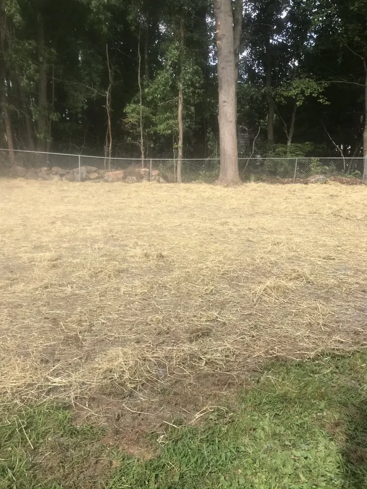 Trusted lawn mowing service with custom design in Waterbury, CT by Yard Boys Seasonal Service