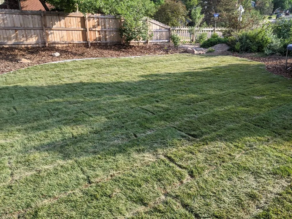 Top-rated lawn care service for year-round maintenance in Centennial, CO by Yard Boyz