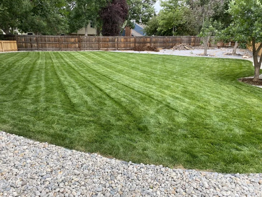 Expert lawn care service in Centennial, CO by Yard Boyz