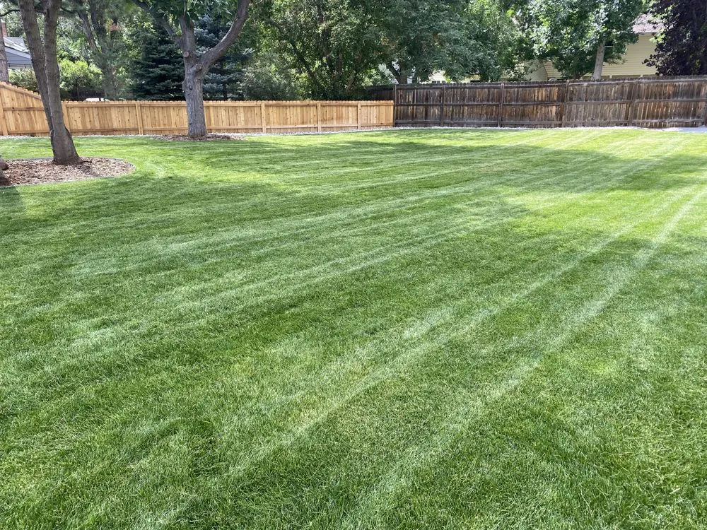 Local lawn care service in Centennial, CO - Yard Boyz