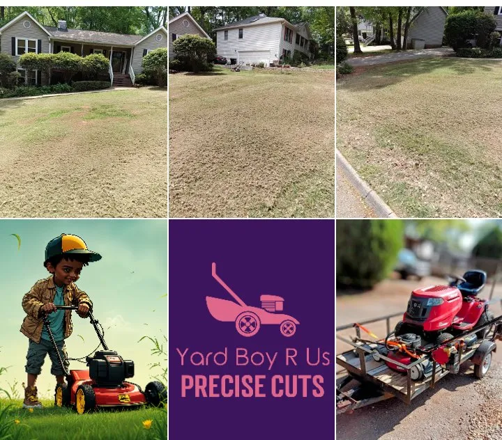 Affordable residential landscaping experts serving Greenville, SC - Yard Boyz R
