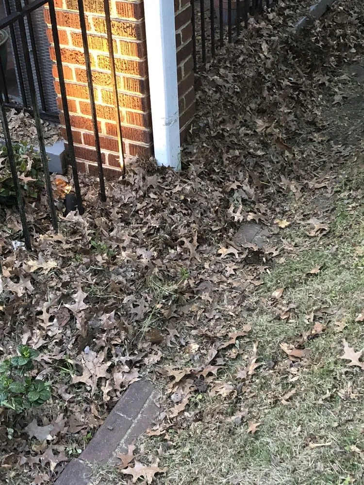 Professional garden landscaping in Atlanta, GA - Yard Bros