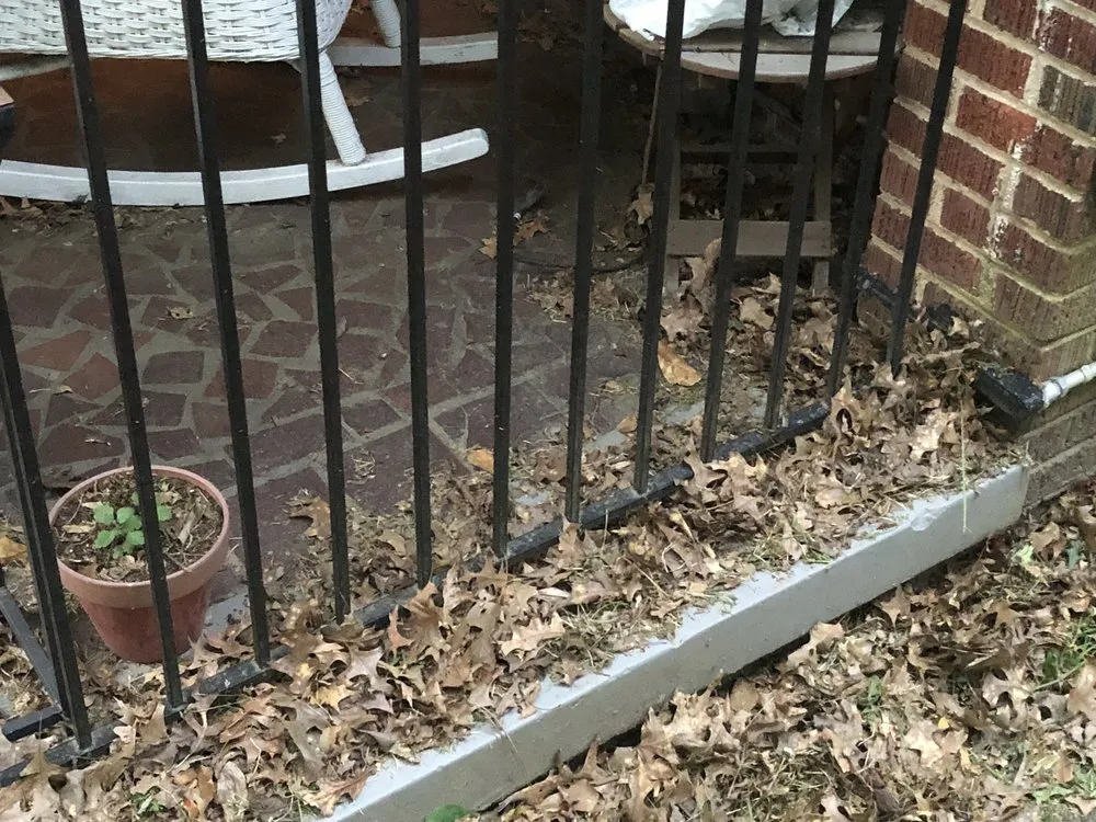 Affordable yard cleanup service in Atlanta, GA by Yard Bros