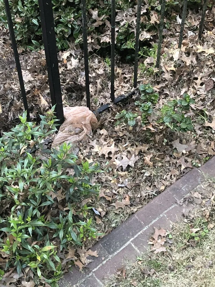 Expert yard cleanup service in Atlanta, GA by Yard Bros