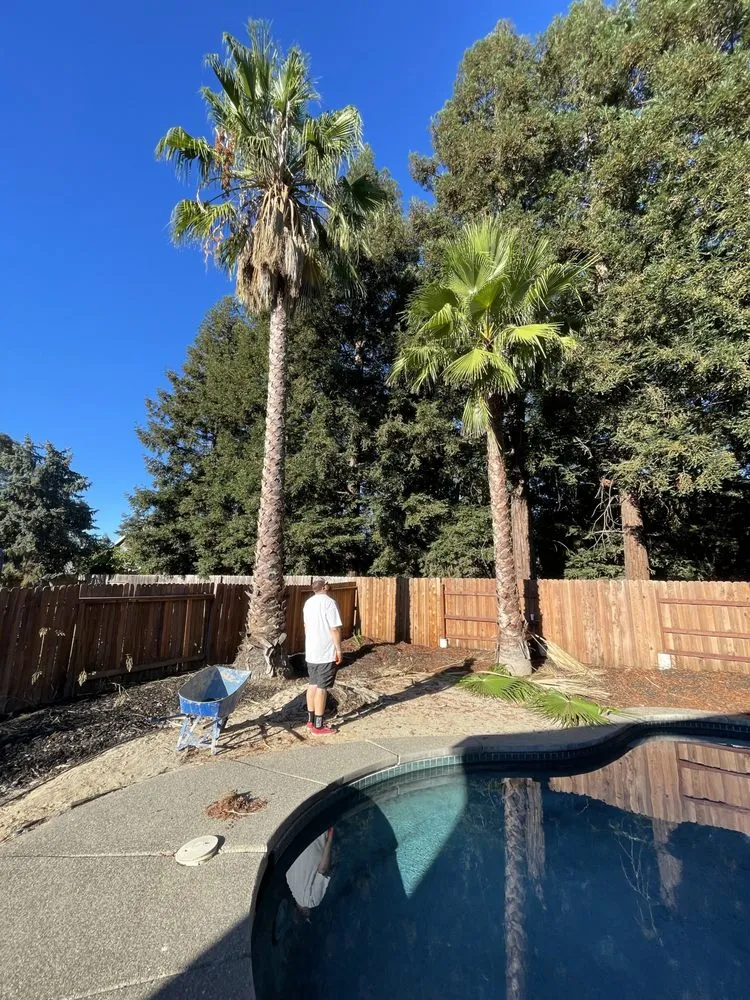 Reliable yard cleanup service in Dixon, CA by Yard Bros