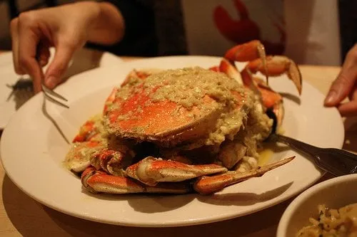 Expert yard cleanup service near you in Dixon, CA by Yard Bros