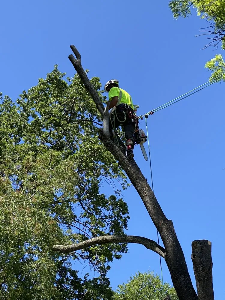 Reliable outdoor landscaping experts serving Dixon, CA - Yard Bros