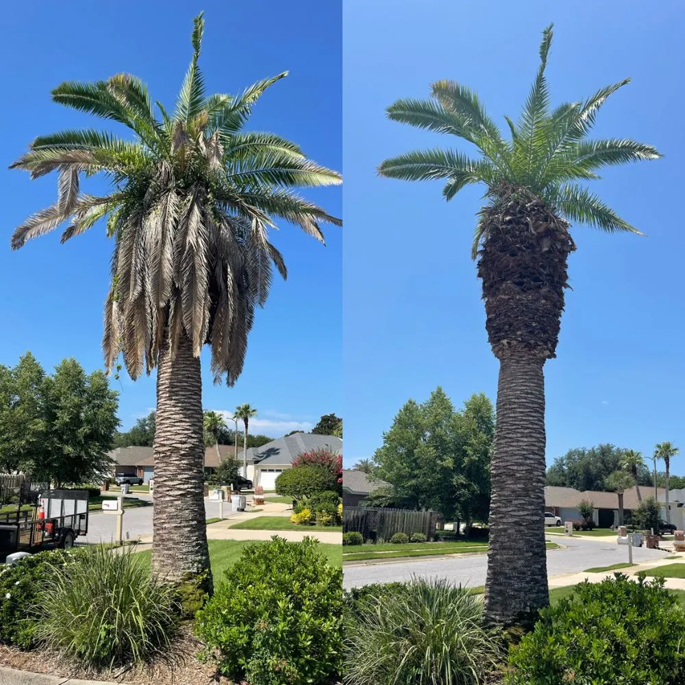 Custom yard cleanup service for outdoor upgrades across Gulf Breeze, FL - Yard Busters